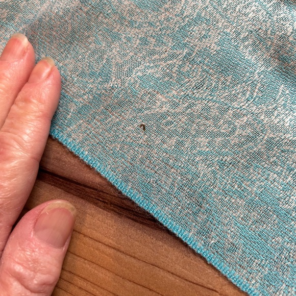 Pashmina Shawl - Picture 6 of 6